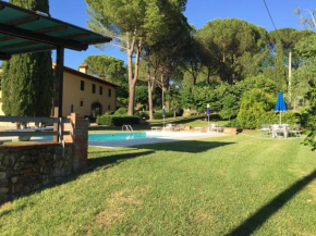 Talli Francesco - Casanova 1 Montespertoli